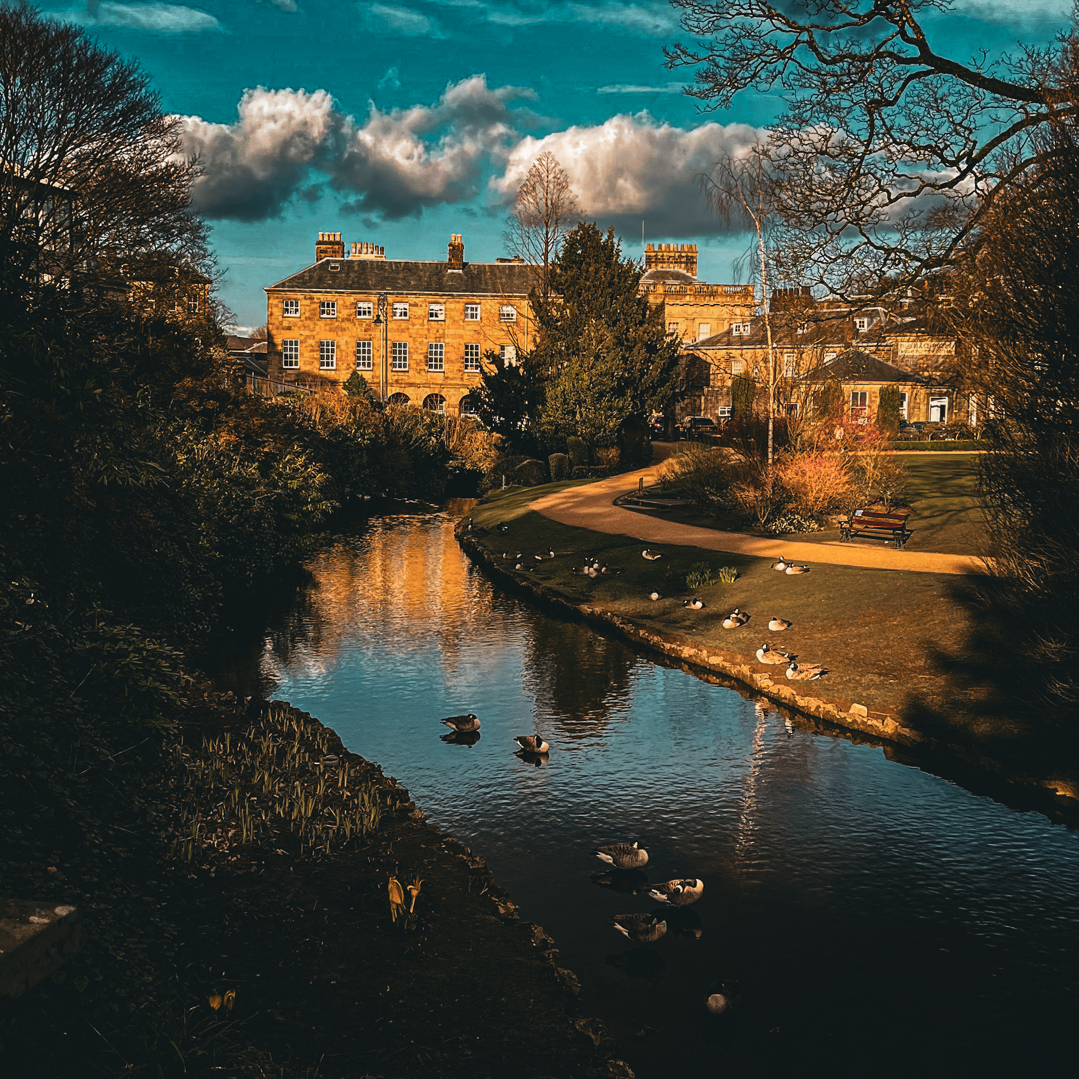Mountain lake landscape
