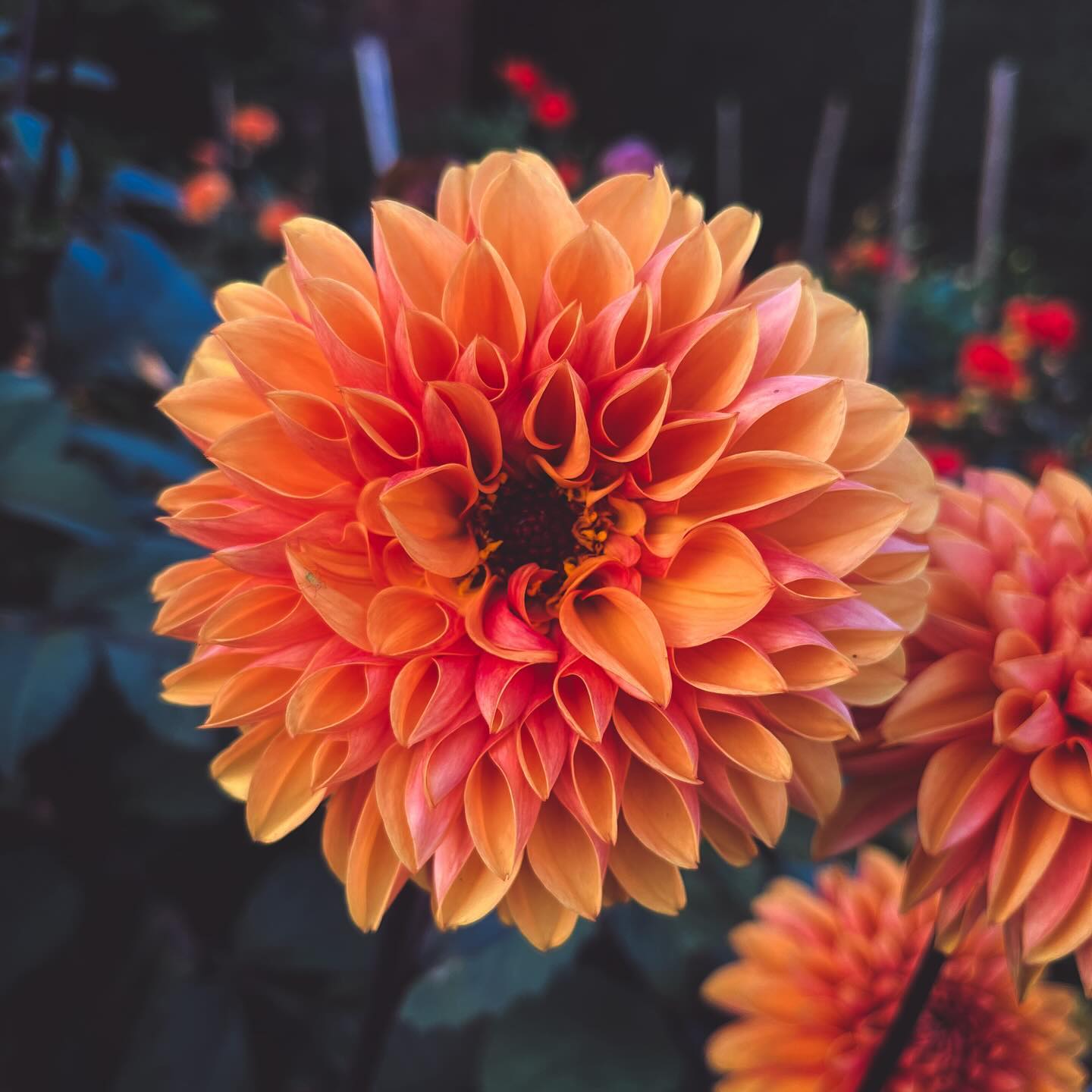 City skyline at sunset