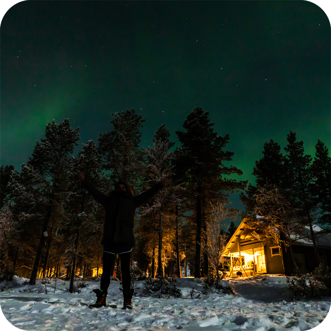 Forest road in soft light
